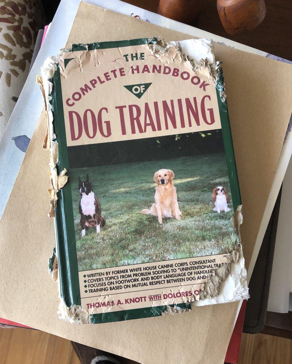 IMG_2334.jpeg IMG_2334.jpeg