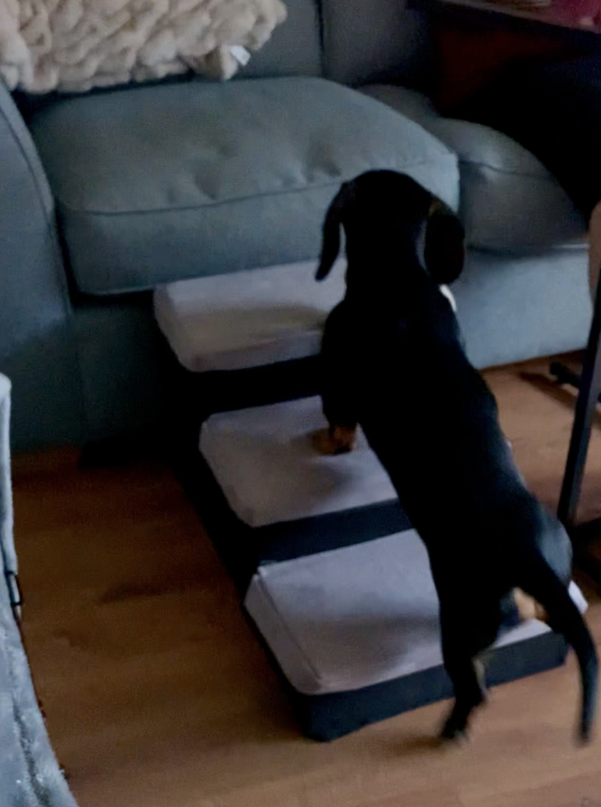 Screenshot 2022-05-10 at 22.01.02.png Screenshot 2022-05-10 at 22.01.02.png