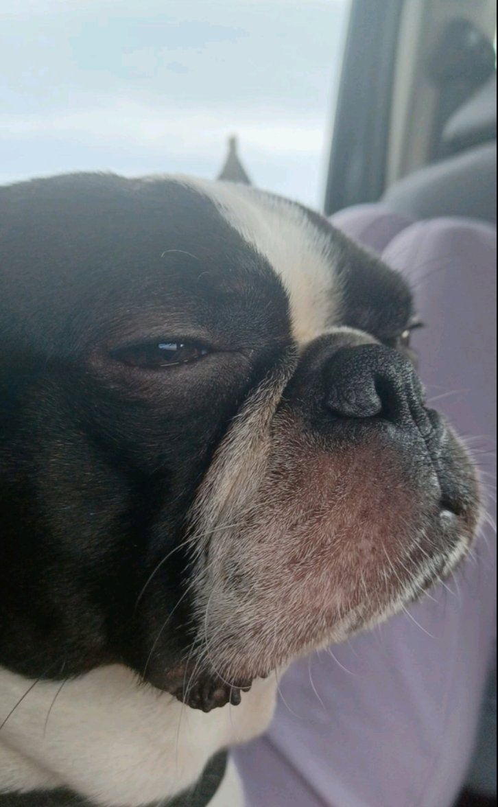 Screenshot_20220511-131900_Viber.jpg Screenshot_20220511-131900_Viber.jpg