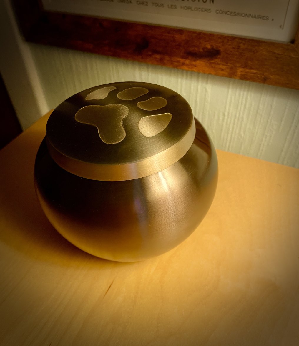 BE7F2E61-CB6E-49C9-9C5D-A178ABDA8487_1_201_a.jpeg BE7F2E61-CB6E-49C9-9C5D-A178ABDA8487_1_201_a.jpeg