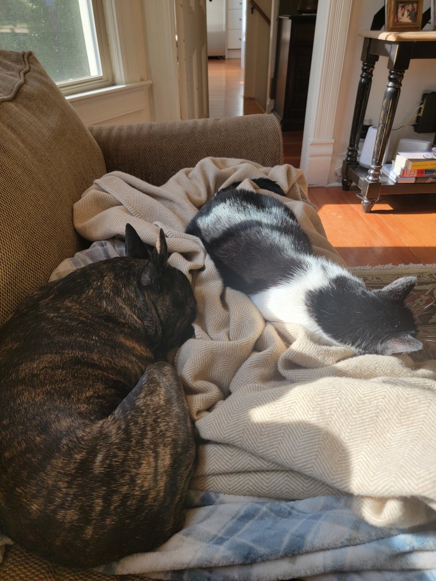 20220511_084839.jpg 20220511_084839.jpg