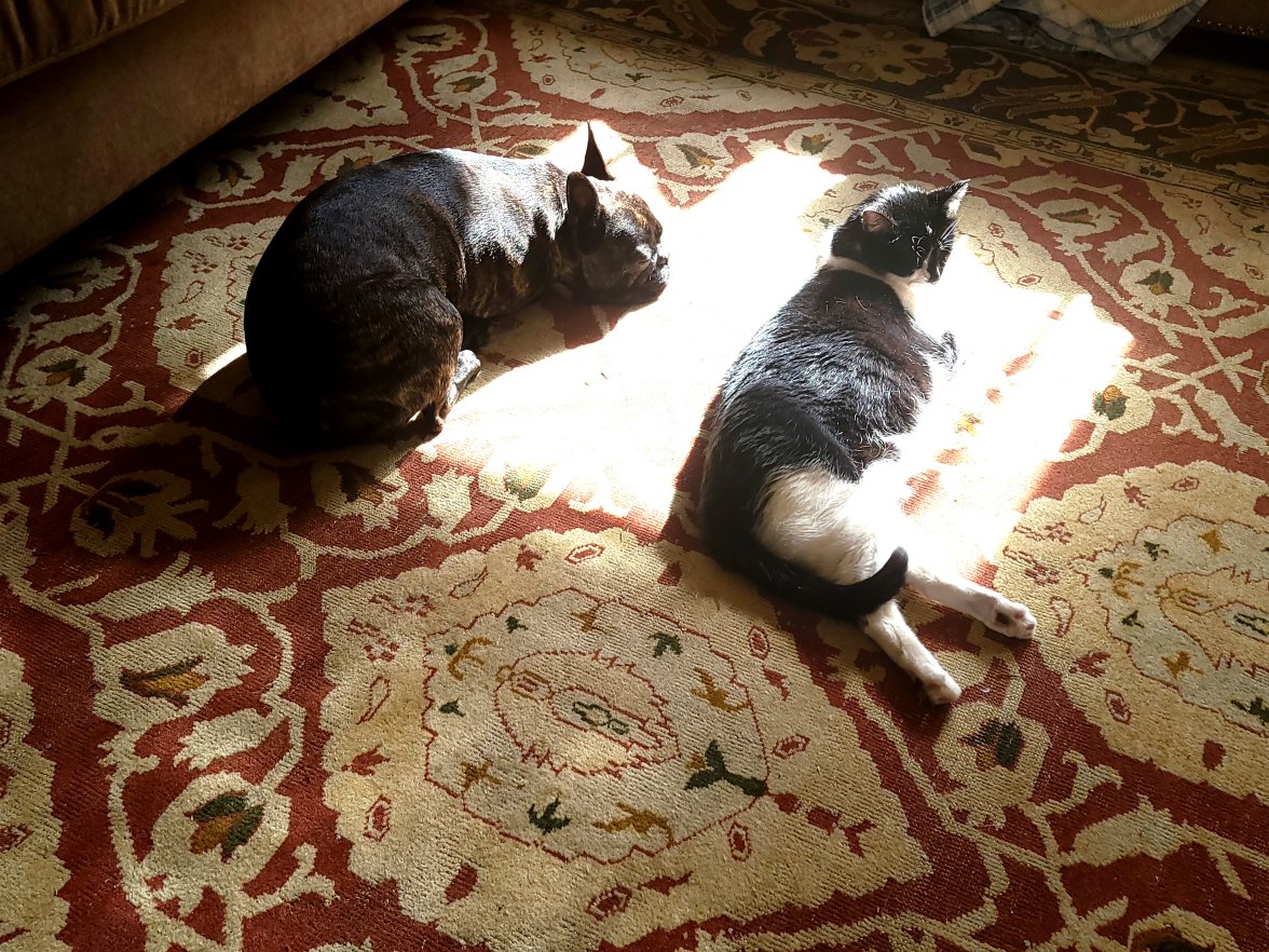 20220511_091620.jpg 20220511_091620.jpg