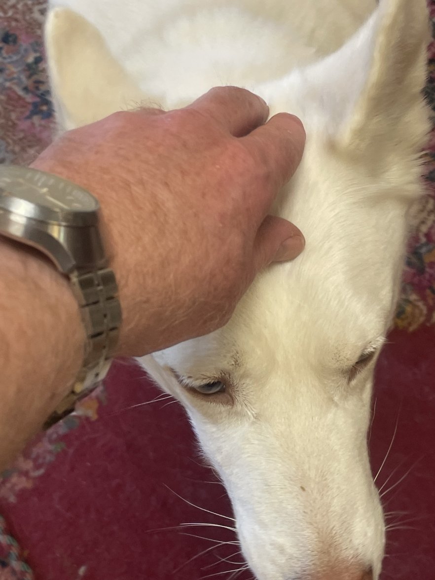 CD07A2B2-3496-47E2-AB26-08B2E2E2EF9B.jpeg CD07A2B2-3496-47E2-AB26-08B2E2E2EF9B.jpeg