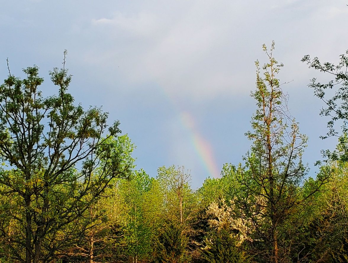 Willard ws 1 rainbow 20220514_063656.jpg