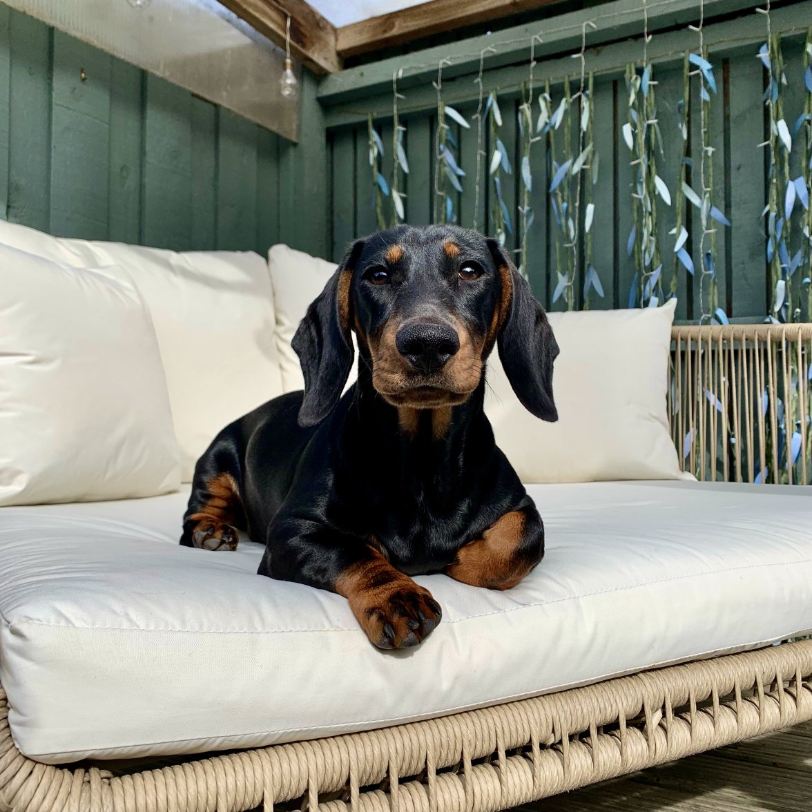 9CE62064-AB9D-4E9C-926A-6307F8F982C5_1_201_a.jpeg 9CE62064-AB9D-4E9C-926A-6307F8F982C5_1_201_a.jpeg