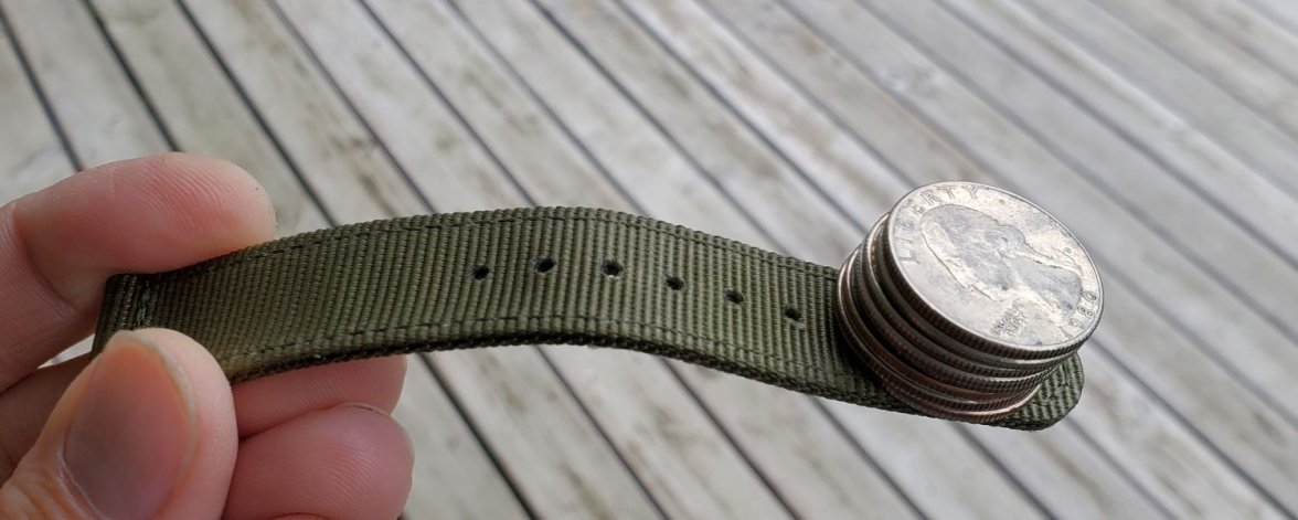 Seagull ws 1 quarters 20220515_171648.jpg