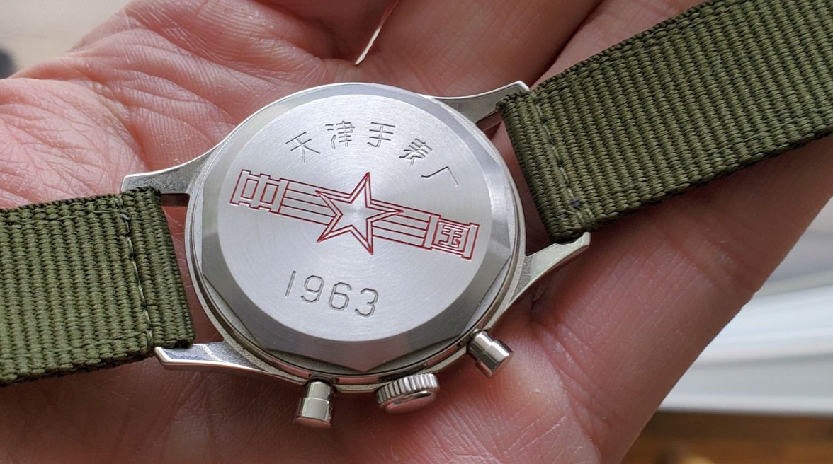 Seagull ws 3 20220515_171848.jpg