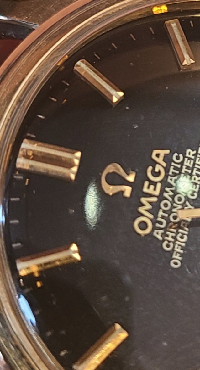 Screenshot_20220515-161853_Gallery.jpg Screenshot_20220515-161853_Gallery.jpg