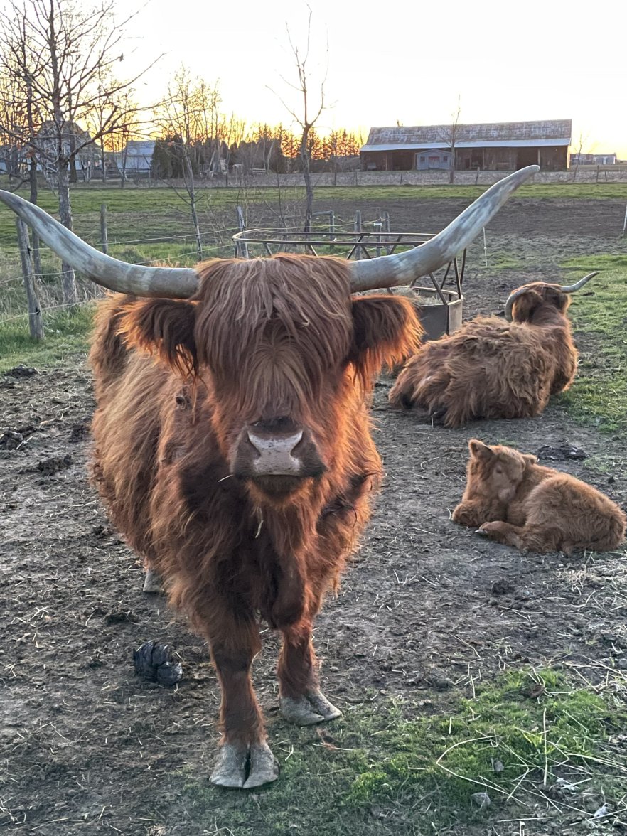 503DF1E3-005A-420A-8C22-4F4E1E2FE46F.jpeg 503DF1E3-005A-420A-8C22-4F4E1E2FE46F.jpeg