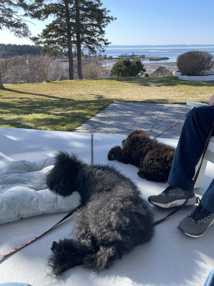 9FE3DB69-F4A6-4EAA-9578-19931FED7BC0.jpeg 9FE3DB69-F4A6-4EAA-9578-19931FED7BC0.jpeg