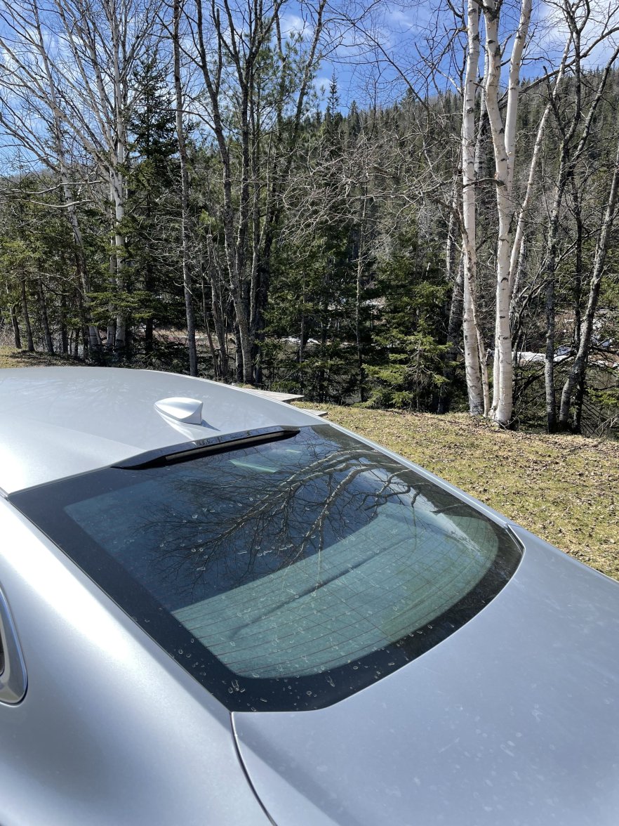 3C787876-CC32-41DF-9A23-D9A6826E520D.jpeg 3C787876-CC32-41DF-9A23-D9A6826E520D.jpeg