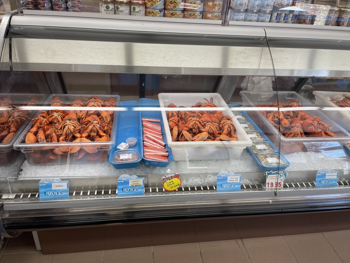 E5DC2492-A849-4EB4-BFE8-DF458BE58A4F.jpeg E5DC2492-A849-4EB4-BFE8-DF458BE58A4F.jpeg