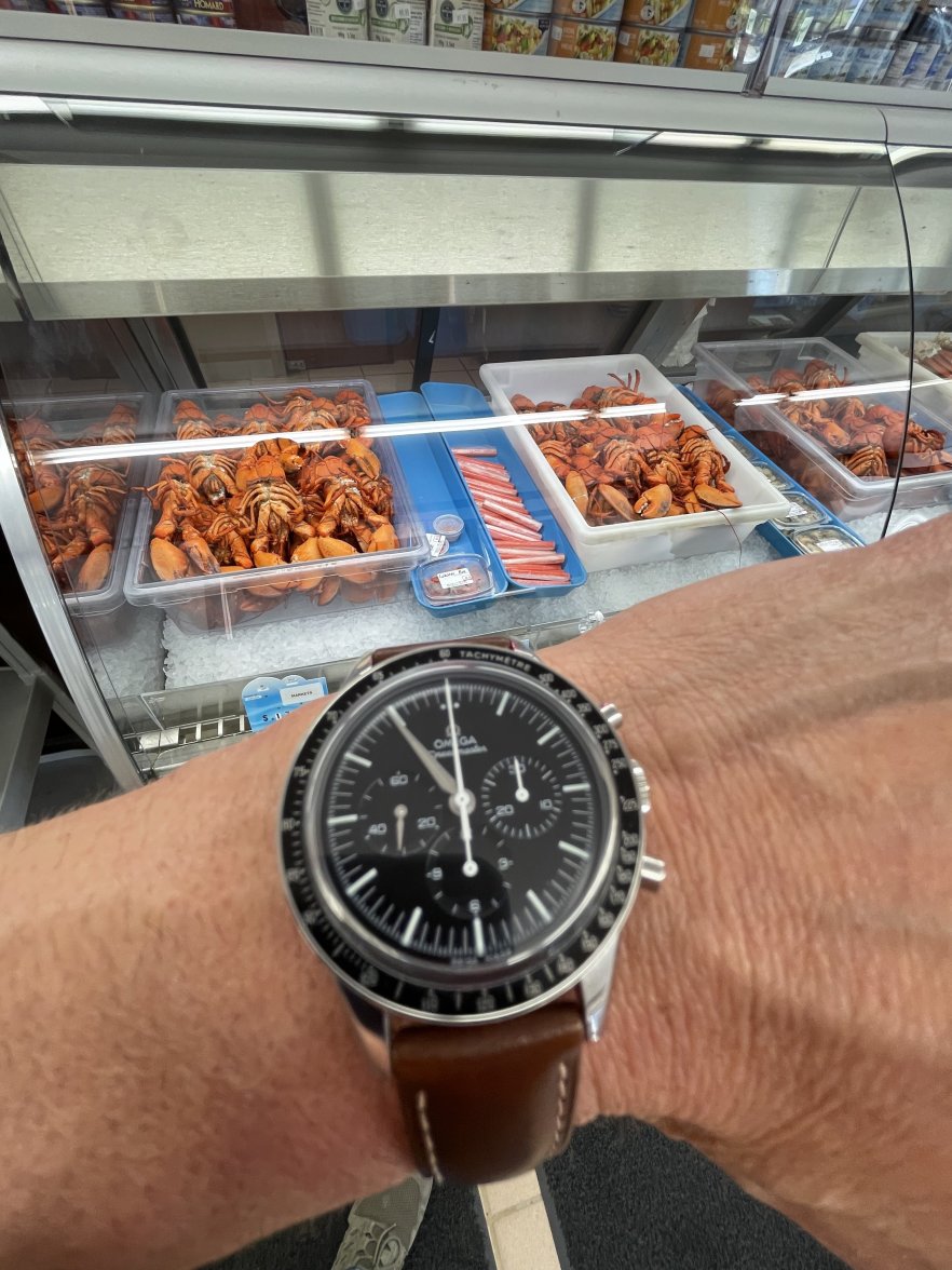 3BD16AE5-E0A5-466D-A7C9-0C1CA702F086.jpeg 3BD16AE5-E0A5-466D-A7C9-0C1CA702F086.jpeg