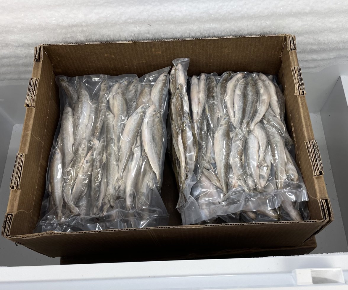 F3A595A5-5D18-4231-87E9-A45724C15A97.jpeg F3A595A5-5D18-4231-87E9-A45724C15A97.jpeg