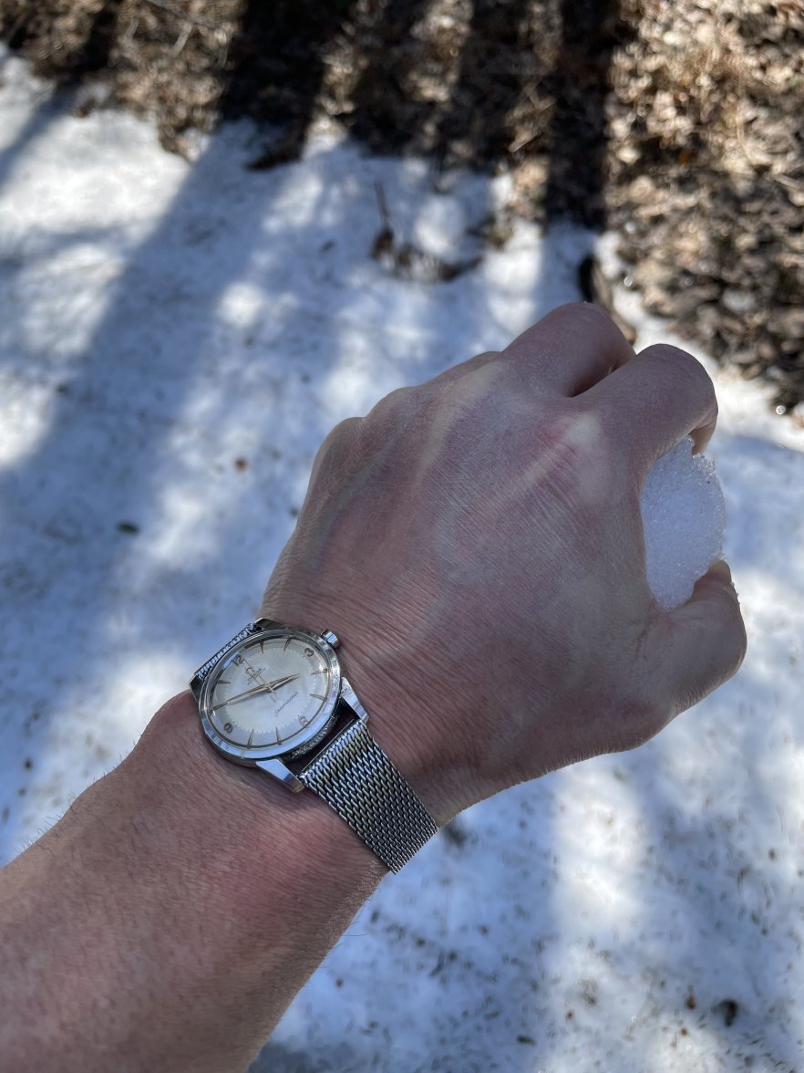 547788B6-74B7-4BD4-90DF-D5ED125F178A.jpeg 547788B6-74B7-4BD4-90DF-D5ED125F178A.jpeg