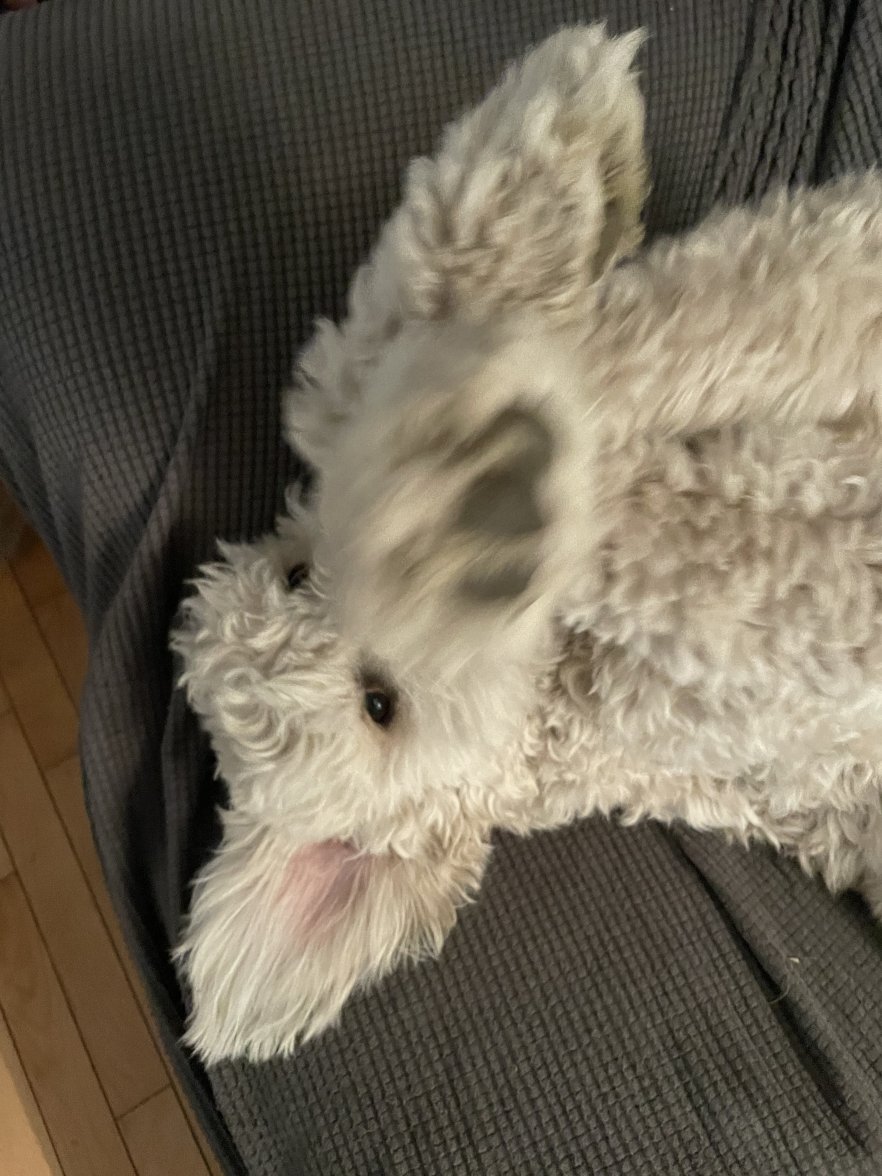 4E218212-D424-4006-A8D9-6032A3566335.jpeg 4E218212-D424-4006-A8D9-6032A3566335.jpeg