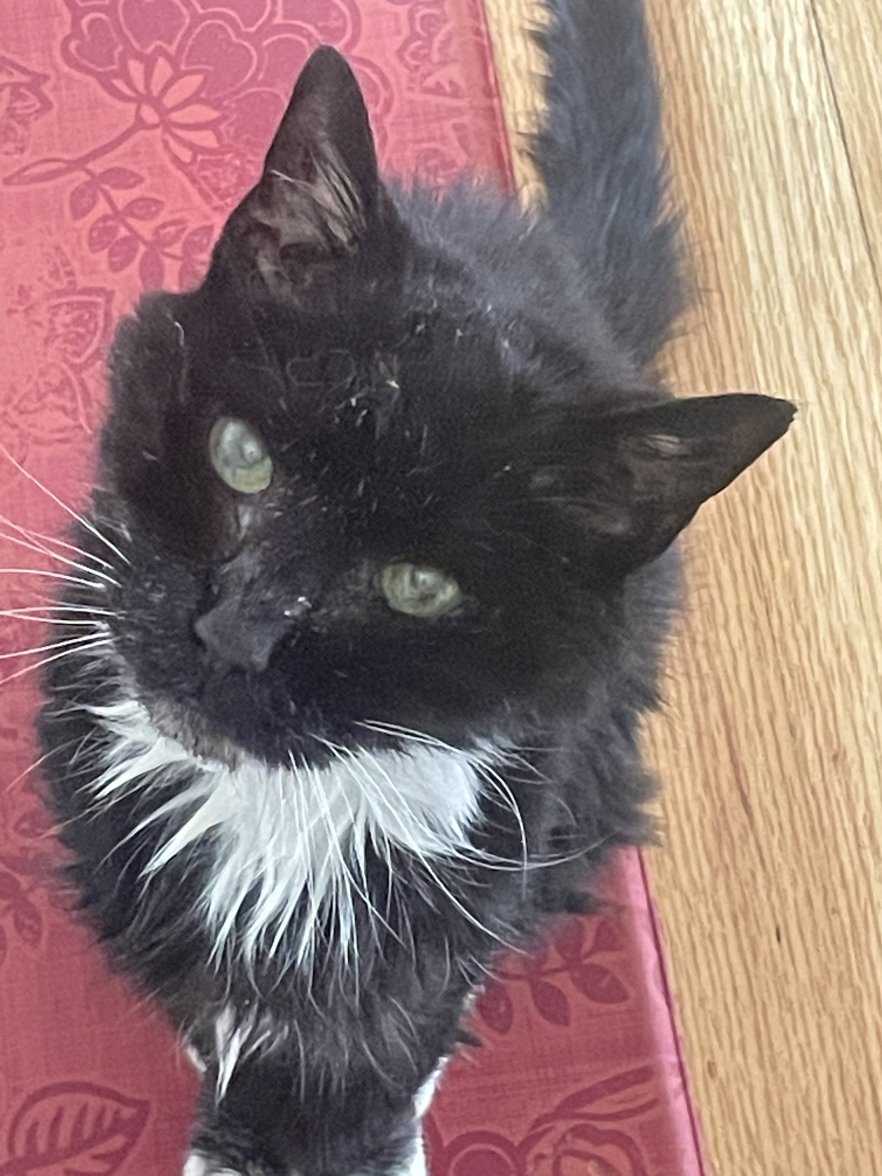 12200CCE-20E6-45F3-841F-C5571B6CDB1F.jpeg 12200CCE-20E6-45F3-841F-C5571B6CDB1F.jpeg