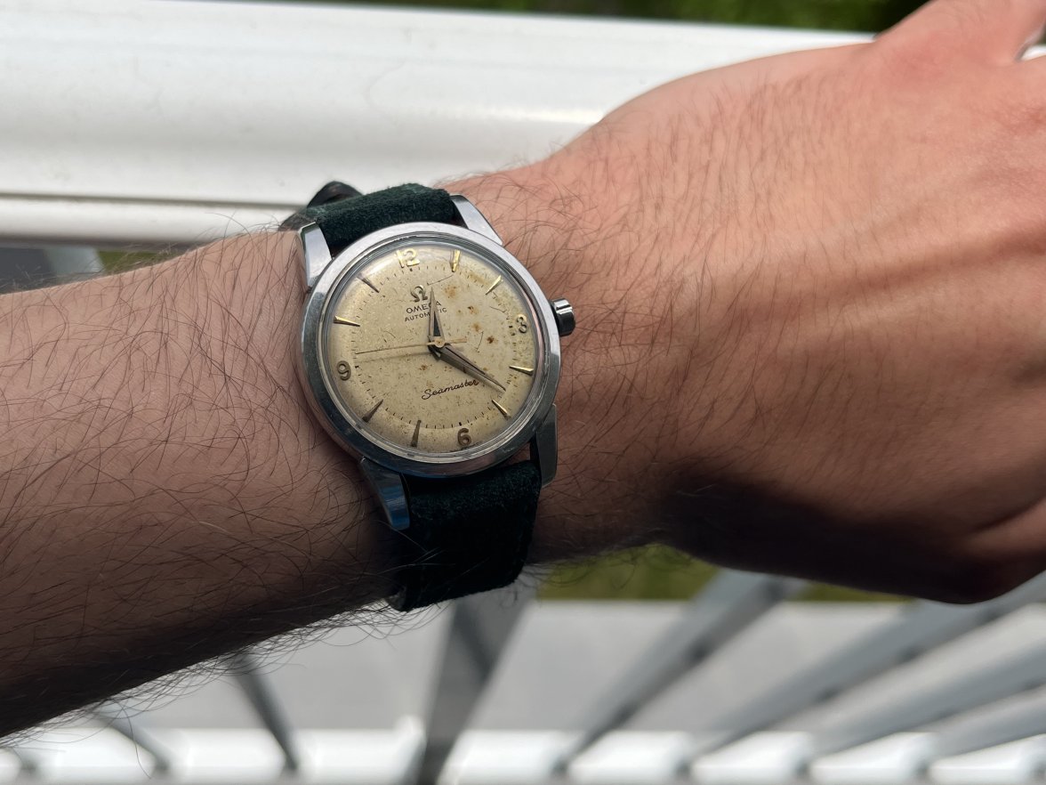 135CC7EB-E01B-46A2-8DCA-0E2CE1DD976E.jpeg 135CC7EB-E01B-46A2-8DCA-0E2CE1DD976E.jpeg