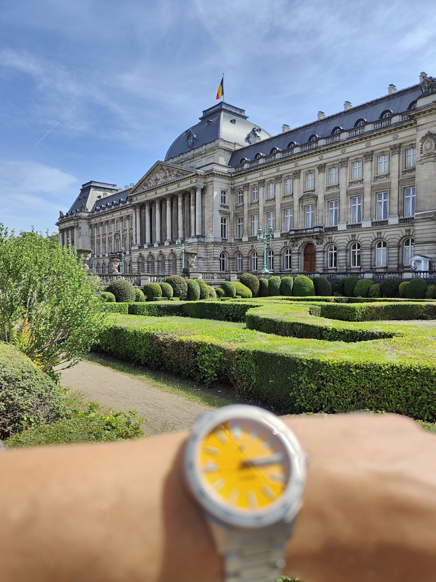 IMG20220518151444.jpg IMG20220518151444.jpg