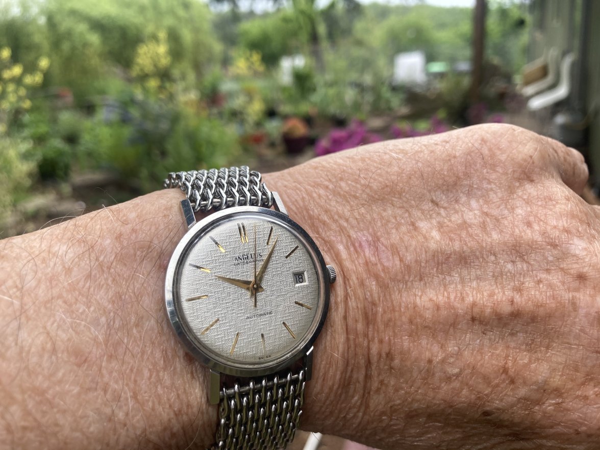 5CB0B00D-DF36-4784-9BCA-CB6CDA6E52D0.jpeg 5CB0B00D-DF36-4784-9BCA-CB6CDA6E52D0.jpeg