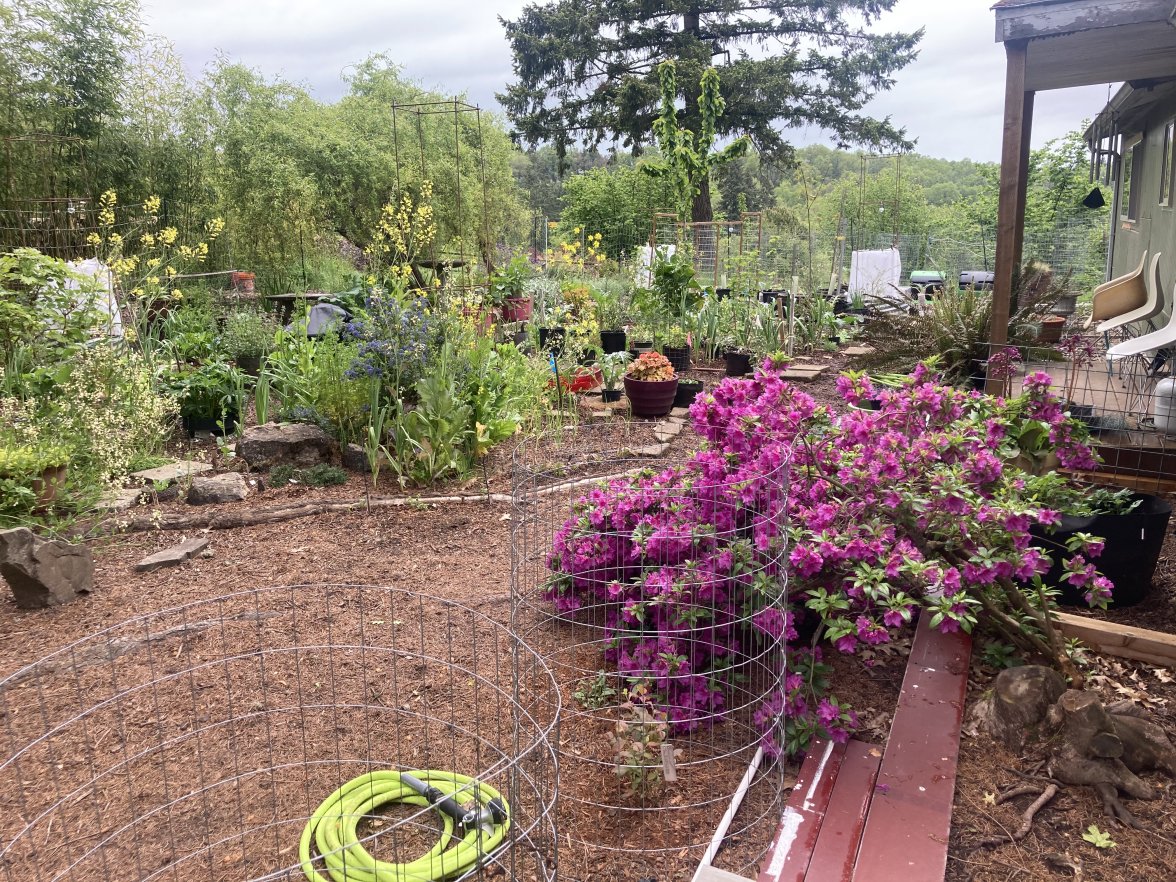 B853C4FB-FB38-4FB0-886C-22C276097829.jpeg B853C4FB-FB38-4FB0-886C-22C276097829.jpeg