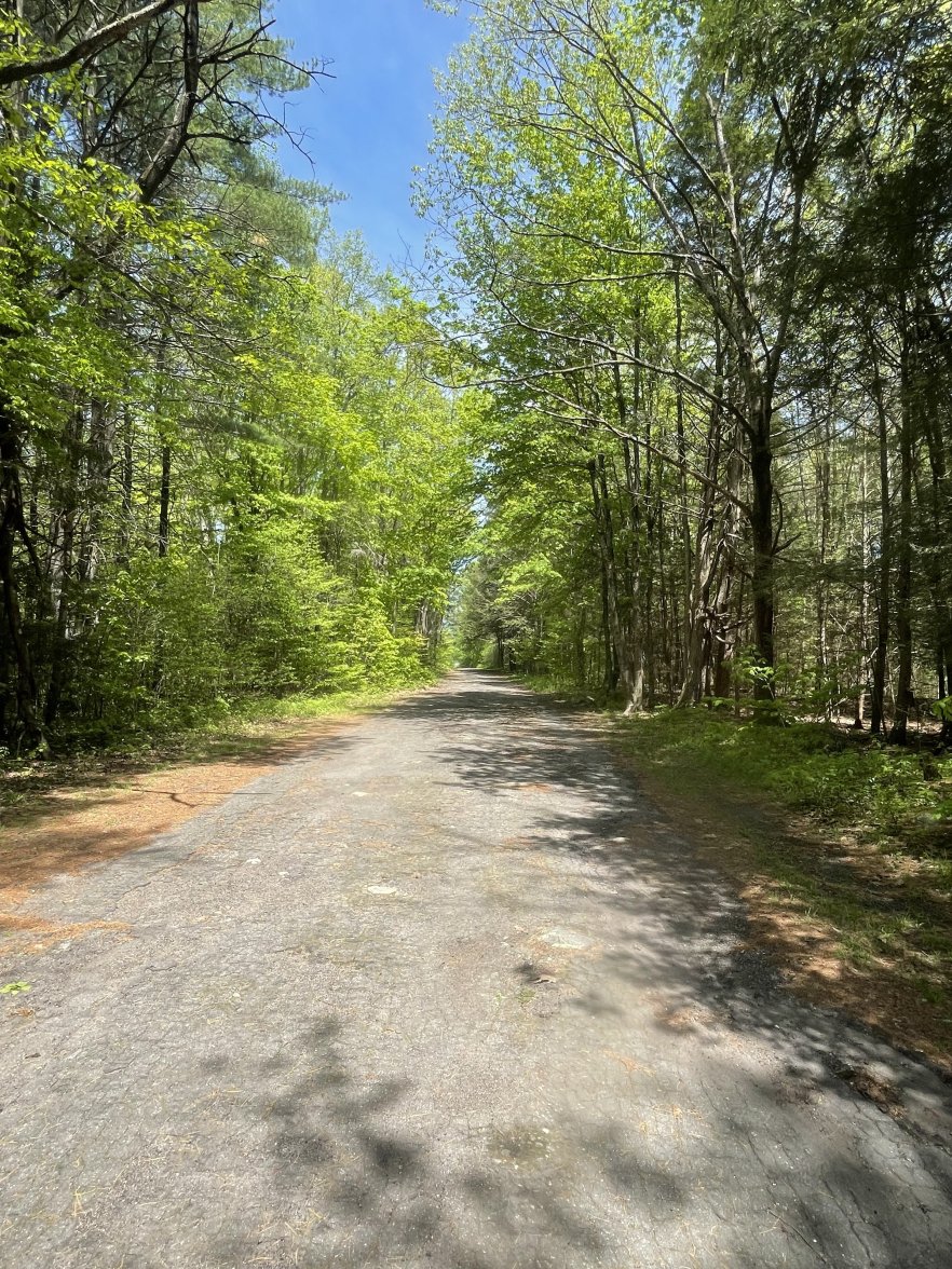 6898C19D-D18B-4B83-9354-2240C1133019.jpeg 6898C19D-D18B-4B83-9354-2240C1133019.jpeg