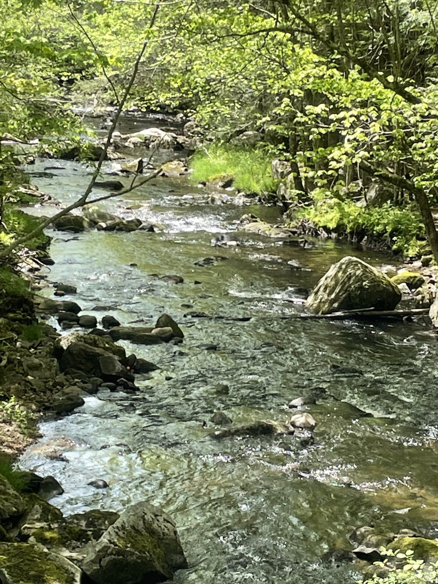 3BA1F06E-847A-4331-99F1-6CB93477D36B.jpeg 3BA1F06E-847A-4331-99F1-6CB93477D36B.jpeg