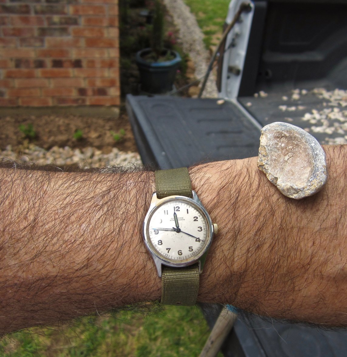 IMG_0338.jpg IMG_0338.jpg