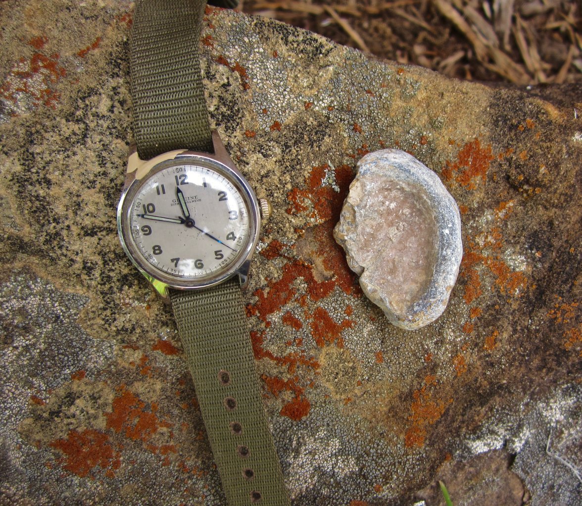 IMG_0341.jpg IMG_0341.jpg