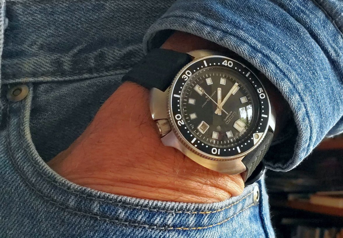 Willard ws 1b 20220521_074434.jpg