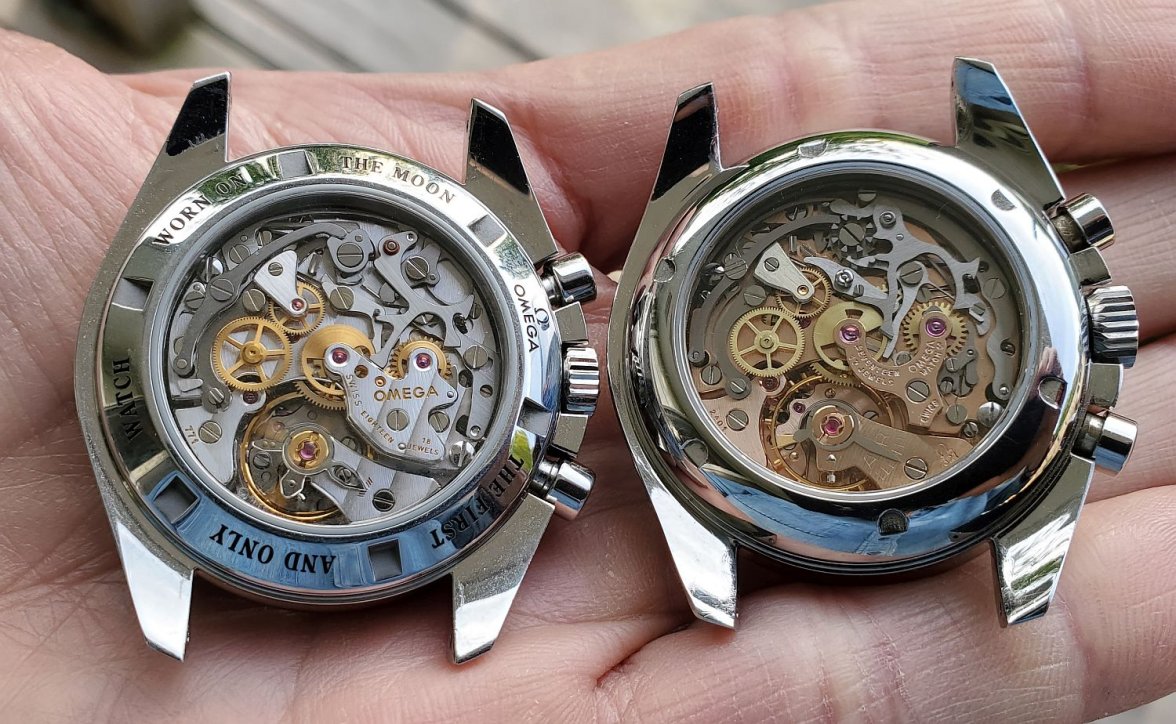 SPD ws 1 with MP backs 20220524_185449.jpg