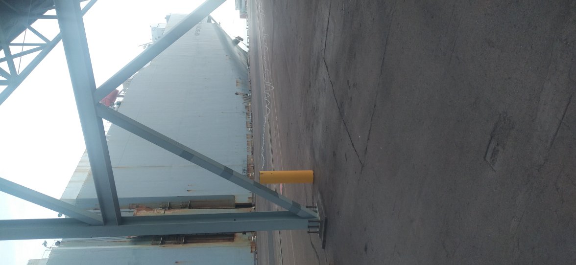 IMG_20220526_145147.jpg IMG_20220526_145147.jpg