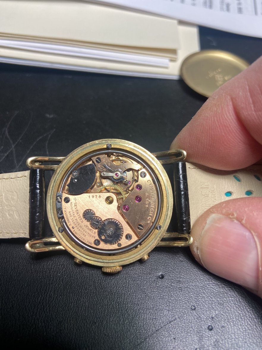 B7EDCE17-4B4A-4786-982E-9752DFF7D87D.jpeg B7EDCE17-4B4A-4786-982E-9752DFF7D87D.jpeg