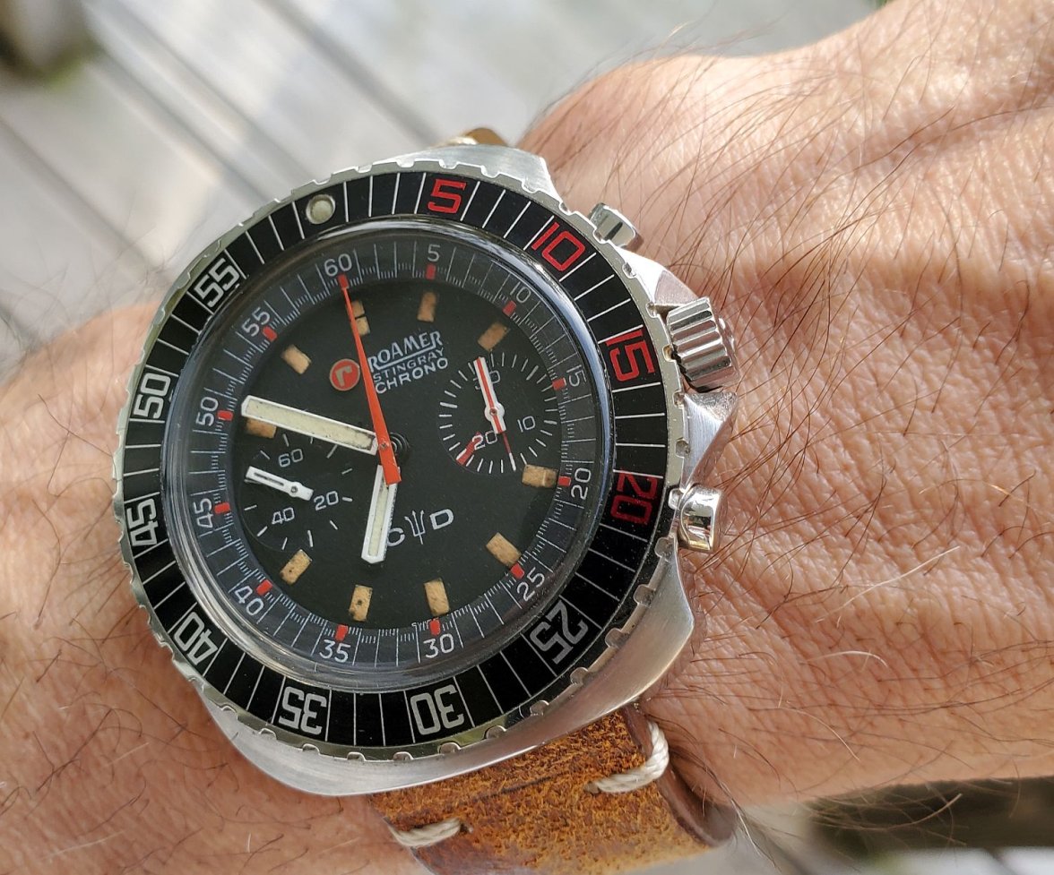 Roamer ws 1 20220601_185054.jpg