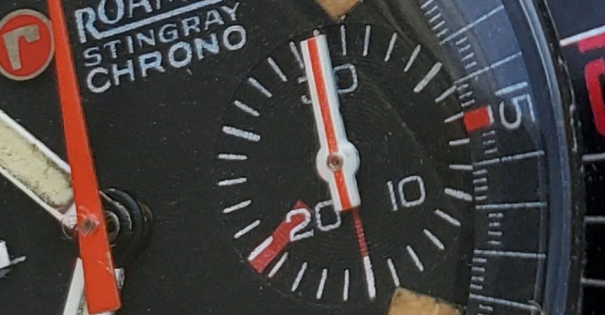 Roamer ws 2 2022-06-01 19_17_19-20220601_185317.jpg - IrfanView (Zoom_ 6482 x 8643).jpg