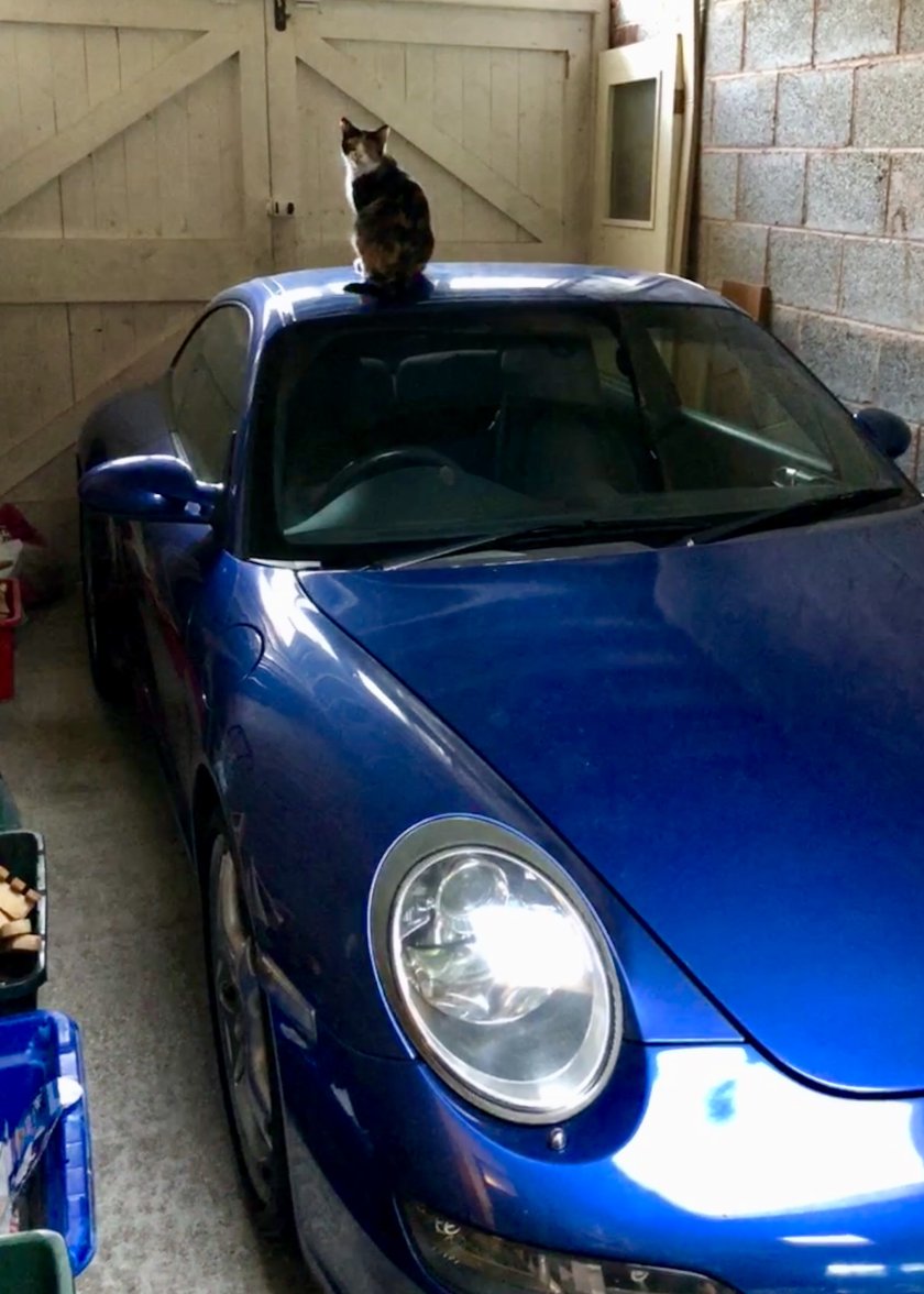 1CA0792B-87E2-4650-9CAE-AE4E356B4656.jpeg 1CA0792B-87E2-4650-9CAE-AE4E356B4656.jpeg