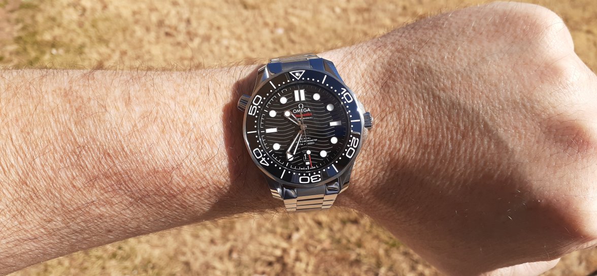 20220313_103526.jpg 20220313_103526.jpg