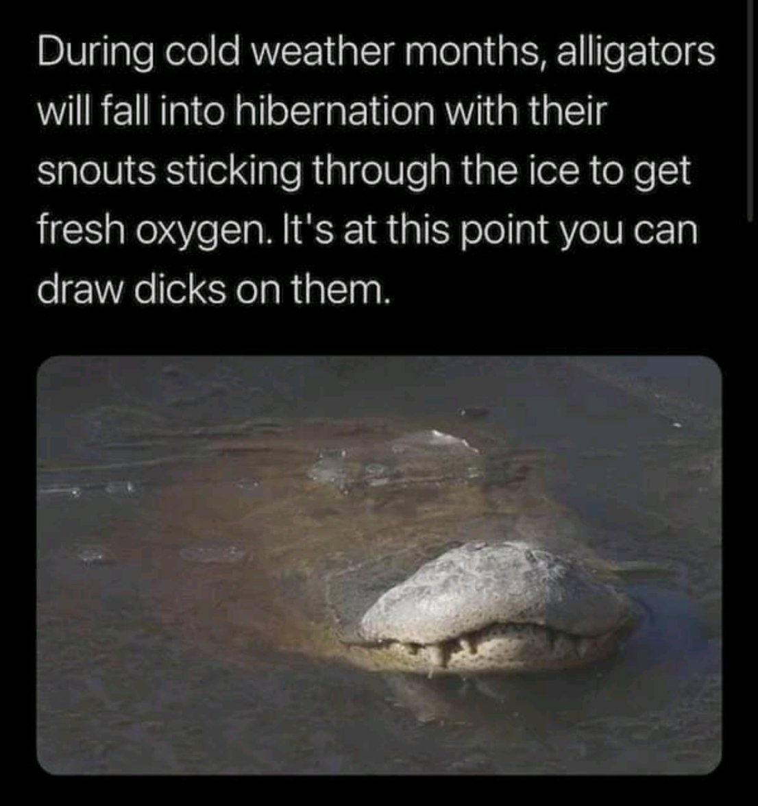 Screenshot_20220606-173533_Metal Pro.jpg