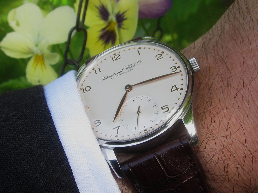 IWC ws suit b IMG_9250.jpg
