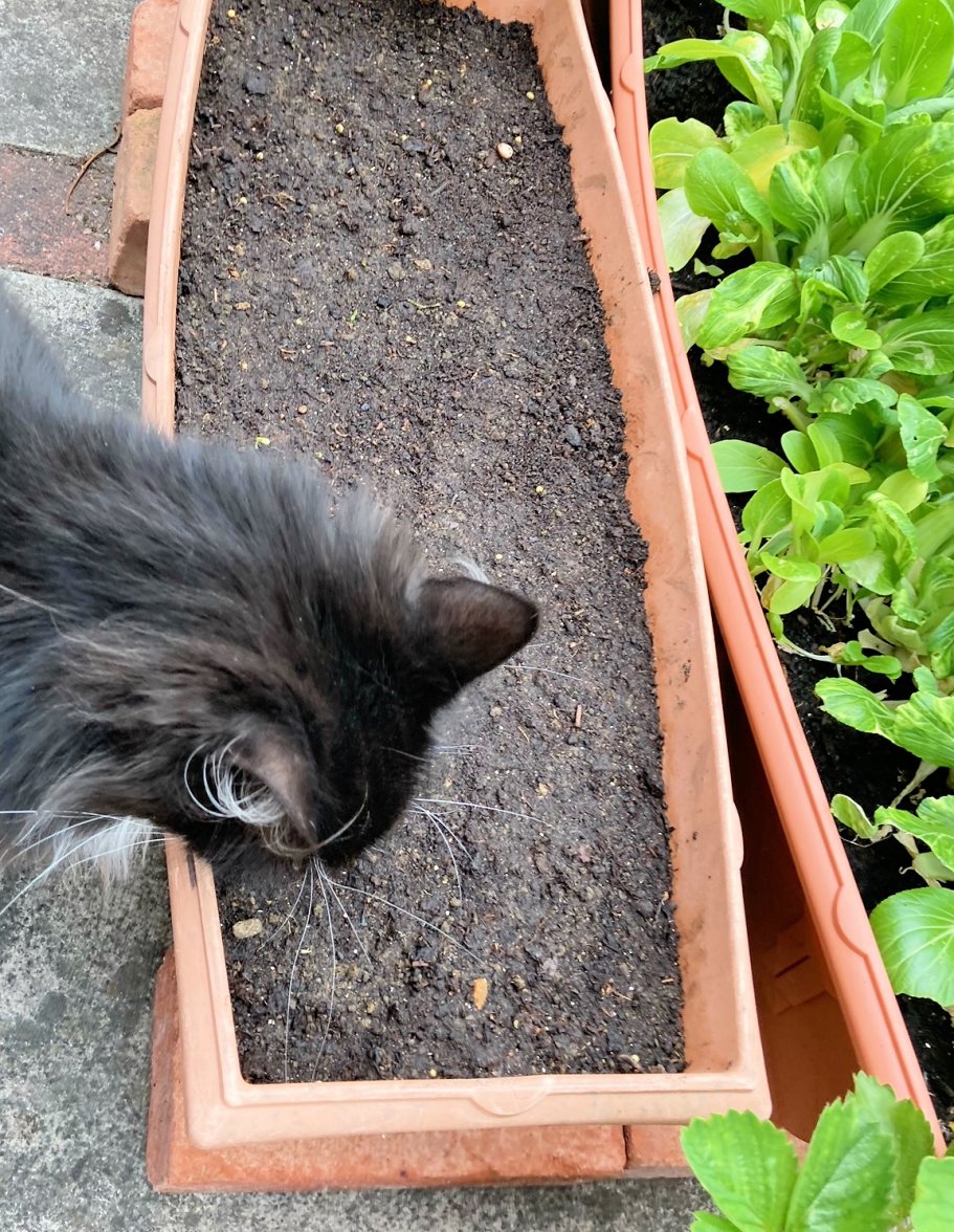 Going to the birds 02 - Copy.jpg