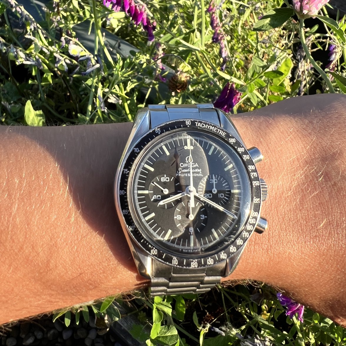 IMG_9551.jpg IMG_9551.jpg