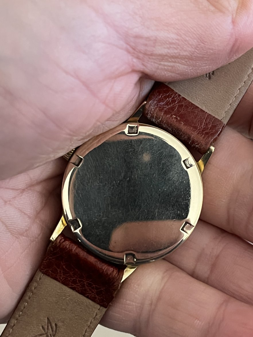 DC00221C-D237-4834-B295-DDBF6458D638.jpeg DC00221C-D237-4834-B295-DDBF6458D638.jpeg