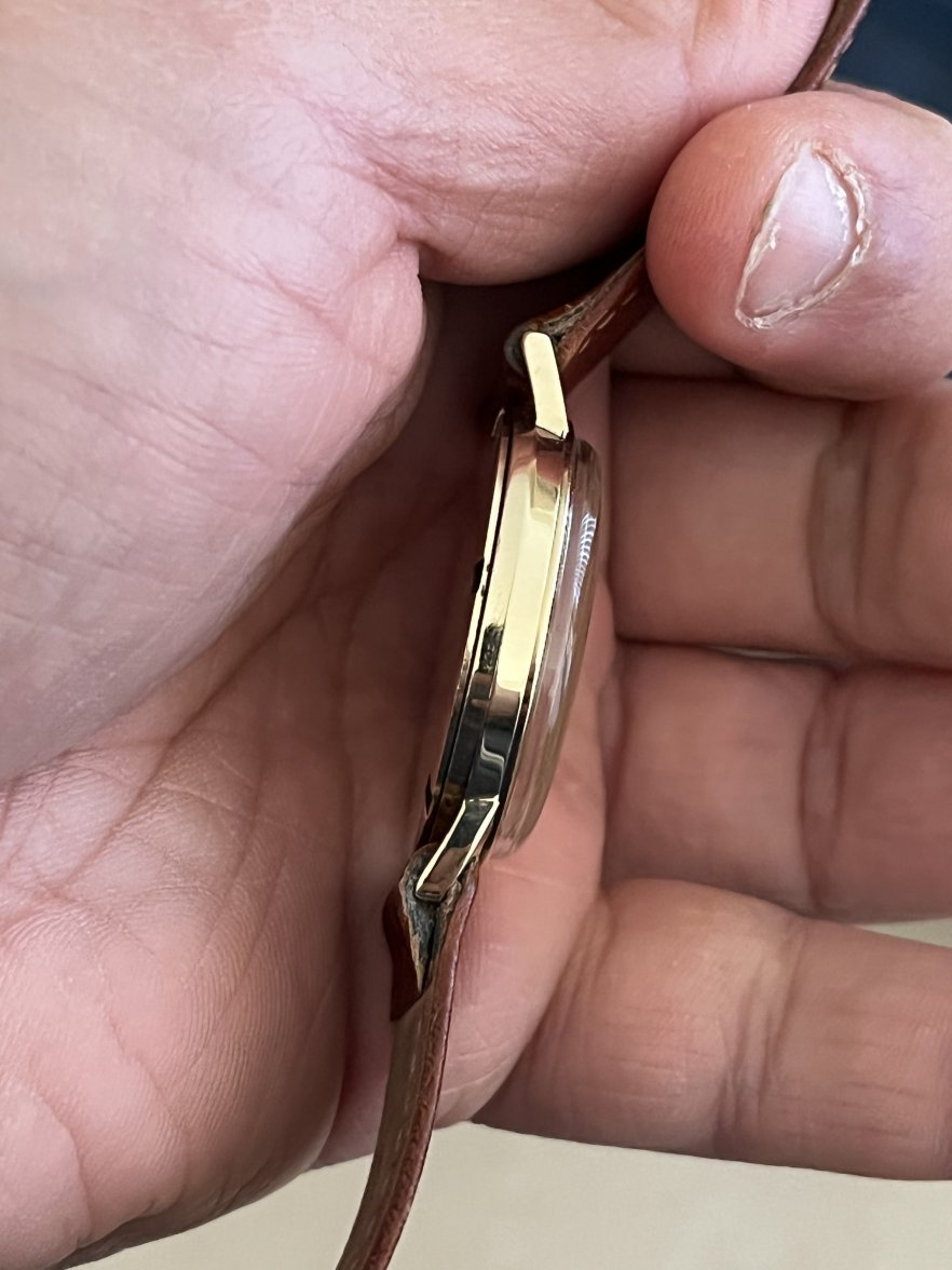 7BD946AE-CEF7-4238-A715-CA13DBB558E6.jpeg 7BD946AE-CEF7-4238-A715-CA13DBB558E6.jpeg