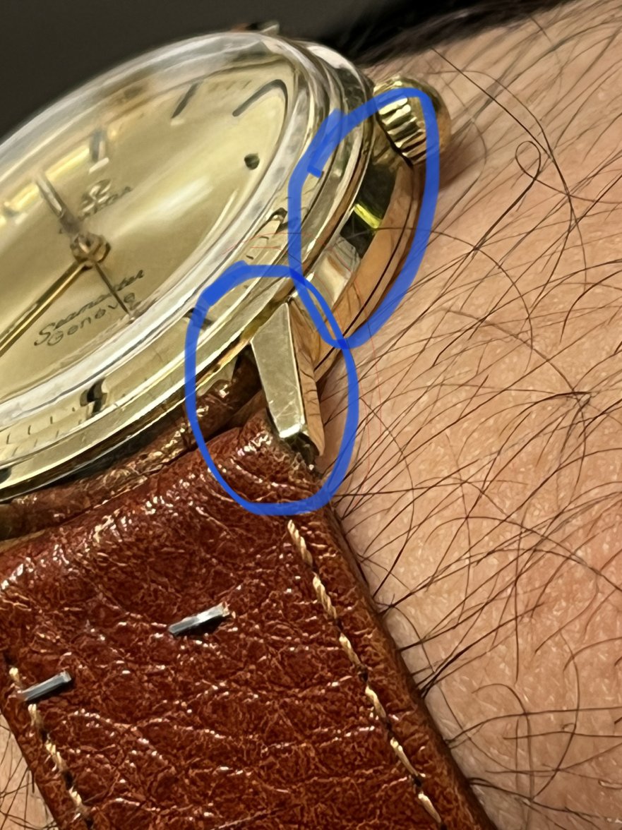 6C4485DE-1D96-4FBE-91D1-C9FEC3B057F8.jpeg 6C4485DE-1D96-4FBE-91D1-C9FEC3B057F8.jpeg