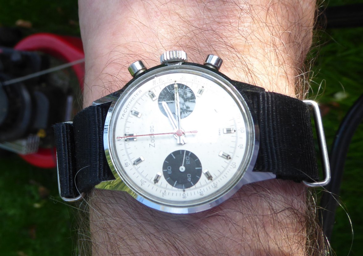 P1010116m.JPG