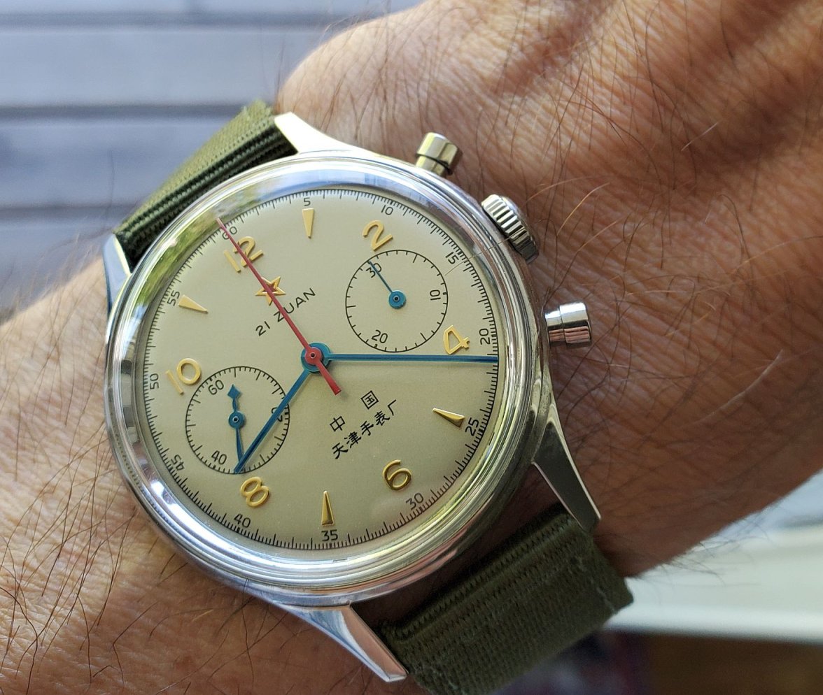 Seagull ws 1 20220618_082135.jpg