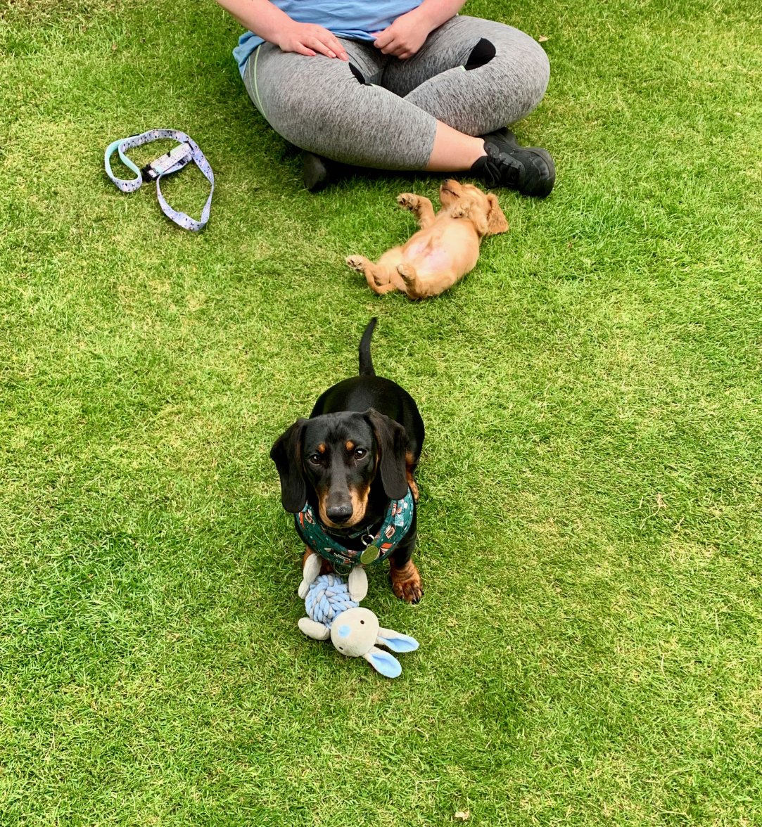 IMG_8305.jpeg IMG_8305.jpeg