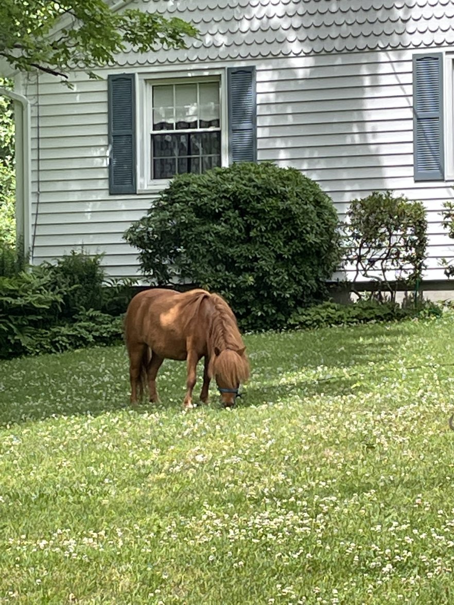 375AFD90-2907-40B9-A8B9-1302F939B1B9.jpeg 375AFD90-2907-40B9-A8B9-1302F939B1B9.jpeg