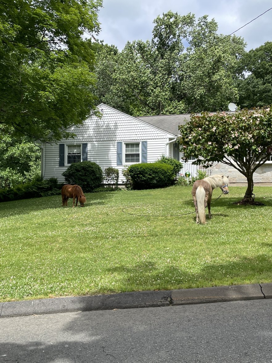 44FC3457-3C9F-4A74-A3C2-23EE3BBE6349.jpeg 44FC3457-3C9F-4A74-A3C2-23EE3BBE6349.jpeg