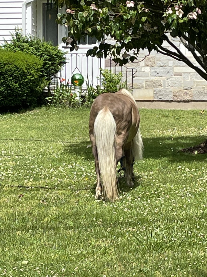 B83AB903-3A7C-453E-A44F-709ACA0ADF35.jpeg B83AB903-3A7C-453E-A44F-709ACA0ADF35.jpeg